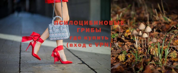 индика Алексеевка