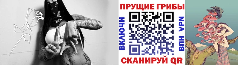 блэк спрут ссылки площадка какой сайт Псилоцибиновые грибы мухоморы Трёхгорный